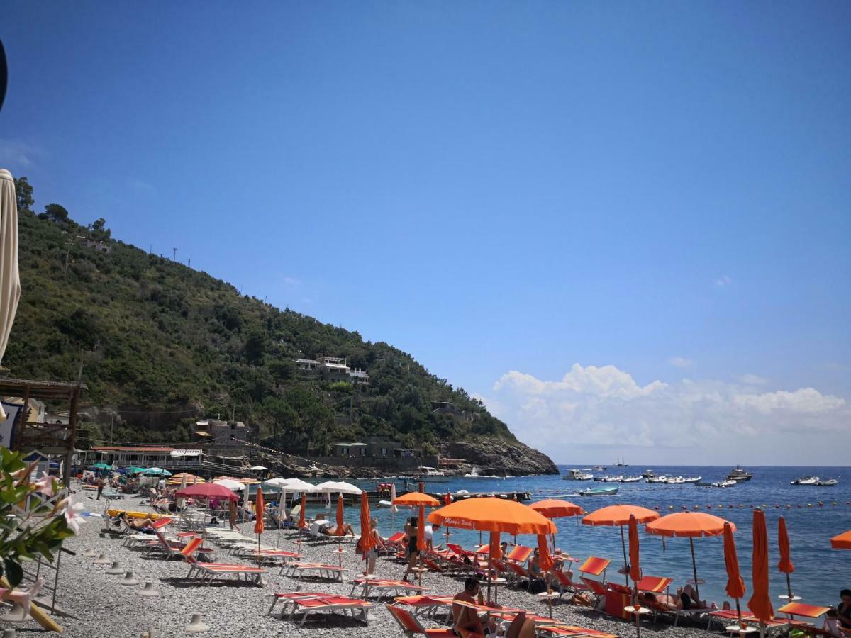 Il Quadrifoglio Villa Massa Lubrense Exterior photo